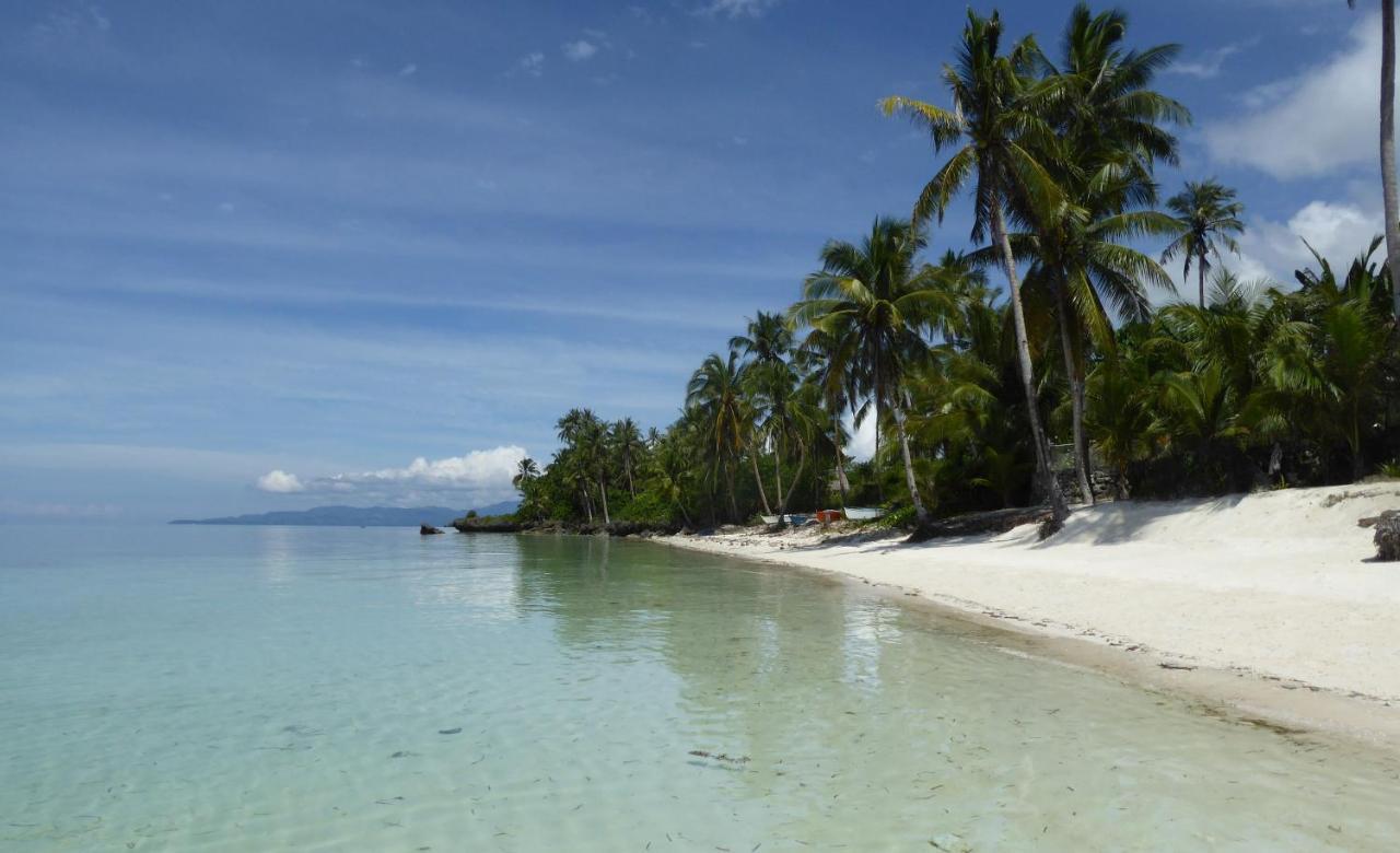 Island View Beachfront Resort Anda  Esterno foto