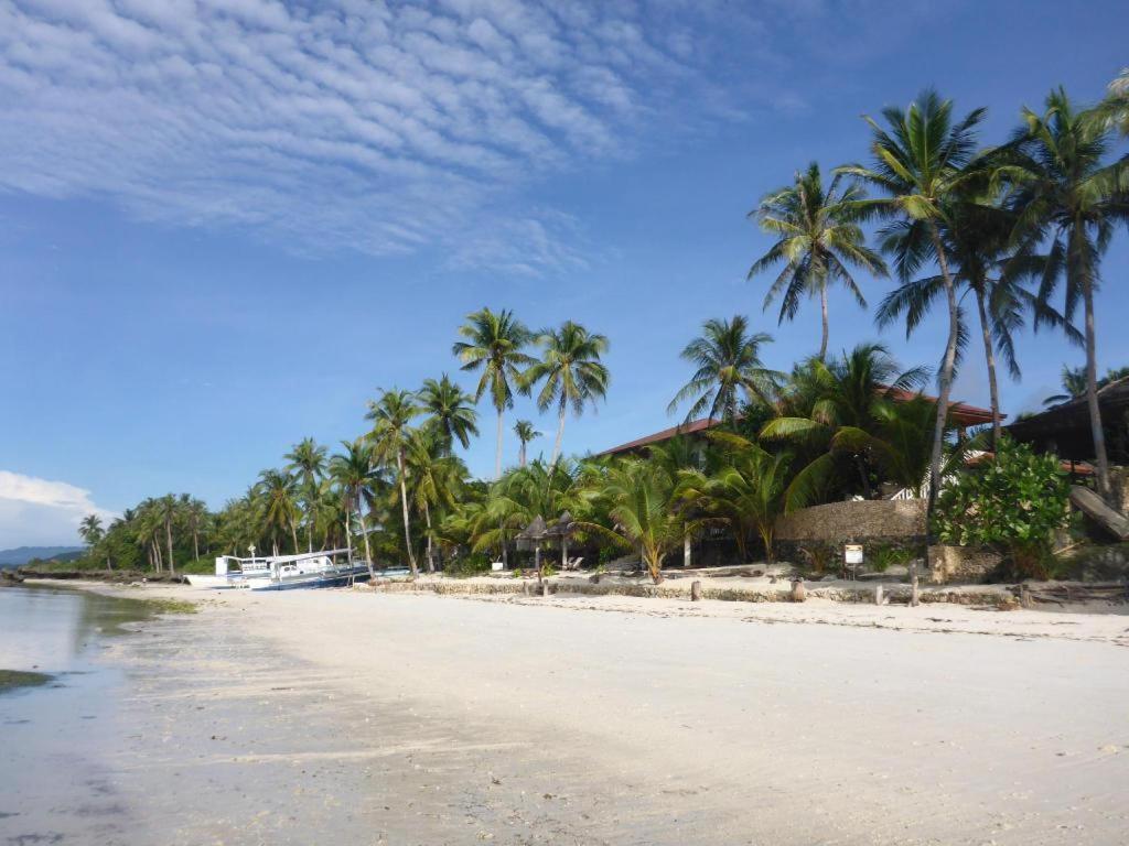 Island View Beachfront Resort Anda  Esterno foto